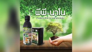 พีพี-นาโนชุด30ไร่ เขียวไว โตไว เพิ่มผลผลิต ลดต้นทุน