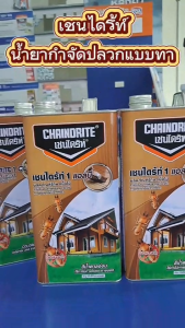 เชนไดร้ท์ (CHAINDRITE) ยากำจัดปลวกแบบทา มี 3สี สีใสสีน้ำตาลดำสีชา ขนาด 1.8 ลิตร