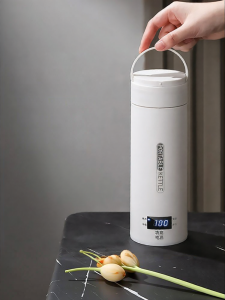 YOUNAI | 110V Travel Portable Electric Kettle