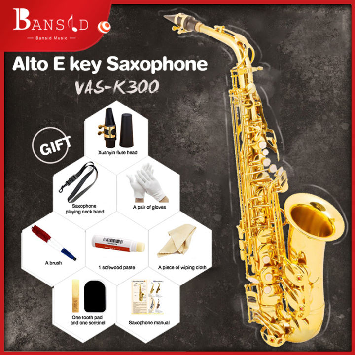 Eb Alto Saxophone Brass Lacquered Gold E Flat Alto Sax Woodwind Instrument  with Carry Bag Gloves Straps Brush of Sax Accessories