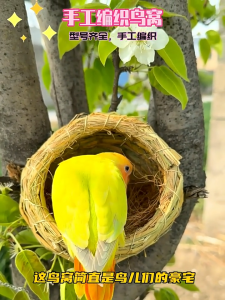 บ้านนกแบบหญ้า ทำด้วยมือ บ้านนก รังนกแก้ว ที่นอนนนก ระบายอากาศได้ดี ธรรมชาติ ไม่แต่งสี ปลอดภัย บ้านฟอพัส บ้านหงษ์หยก บ้านนกกรงหัวจุก