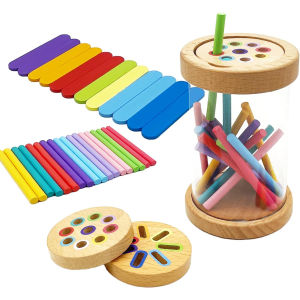 Montessori Color Sorting Toys Wooden Learning Early Education Toy Fine Motor Sensory Development Matching Games Busy Board Toys