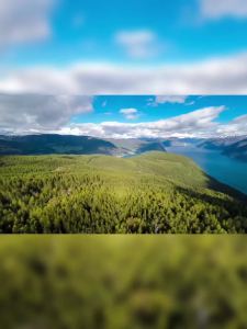 BIOSUNN Seal Oil Softgels Norwegian Import for Senior Health Nutrition Non-Fish Oil Supplement 60 Capsules