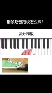 GARTIS ONGKIR HEMAT BIAYA - Pedal Sustain Import untuk Keyboard