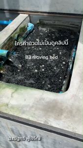 วัสดุกรองบ่อปลา Moving Bed Media BLACK B3 Classic ตัวกรองชีวภาพ เทคโนโลยีสูงสุด กรองบ่อปลา/ตู้ปลา ให้เน้ําใส สะอาด ขนาดบรรจุ 10 KG.