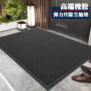 Modern Simple Entrance Door Mat Elastic Silk Rubber Non-Slip Outdoor Large Doorway Floor Carpet Home Entrance Mat Rug