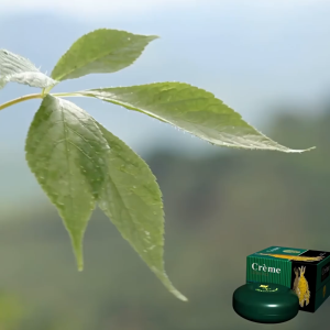 Kem Sâm Thorakao Hỗ Trợ Tái Tạo Da Trắng Sáng Mịn Màng - Hộp 7G