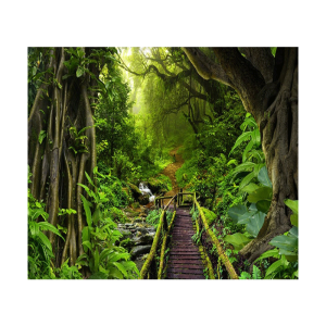 BIHUADASHI | 3D Stereoscopic Nature Forest Wallpaper