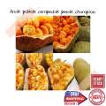 (GG real plant) anak pokok cempedak perak champion ^ bagus cepat berbuah hybrid top quality pokok durian kebun buah sedap fruit. 