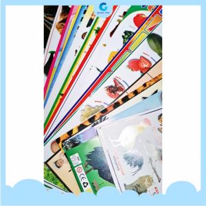 Paket 100 Poster Edukasi Belajar Anak Huruf Abjad Binatang Transportasi Angka Geometri Profesi
