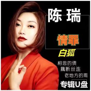 USB Flash Drive ความคมชัดสูง MP3 ของ Chen Rui สำหรับรถยนต์ ไฟฟ้า วิทยุ ลำโพง ลำโพงดิจิตอล ลำโพงแบบแยกแยะ