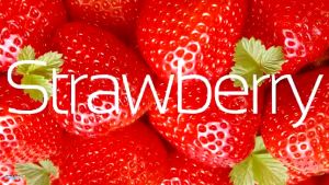 ZHYO 520ml Blender Buah Portabel Multifungsi & Pembuat Jus Mini Dengan 6 Bilah