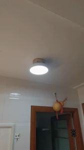Sederhana Lampu Langit-langit LED 3 Warna Penyesuaian Bulat Macaron Ceiling Light Rumah Tangga Ruang Tamu Kamar Tidur Koridor Balkon Lampu Plafon