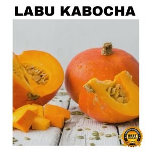 Benih biji labu kabocha atau Bibit labu jepang isi (12 biji)