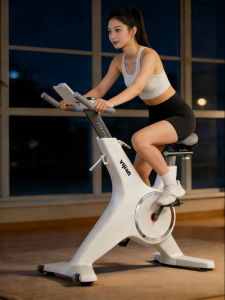 HUAWEI ZHIXUAN | Weight Loss Compact Quiet Indoor Exercise Bike
