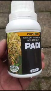 Pupuk Daun Penyubur Tanaman Padi yg Bagus Booster Cair Pelebat Buah Padi Hasil Panen Meningkat