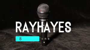 RAYHAYES High-End Dynamic Wired Microphone with 2.5M Audio Cable Professional Unidirectional Mic for Karaoke