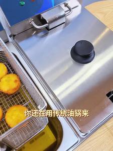 Multi-Purpose Commercial Electric Fryer