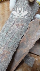 Kulit Kayu Sintok Kering Grade A: Manfaat & Cara Penggunaan