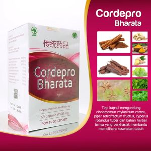 CORDEPRO BHARATA obat ginjal obat batu ginjal obat gagal ginjal obat kencing batu