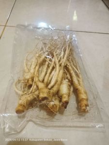 gingseng merah Korea Selatan