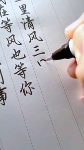 Combo 4 Bút luyện viết chữ Hánbút viết thư pháp siêu đẹp ( 4 kích cỡ có thể bơm mực )