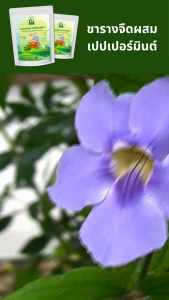 ชารางจืดผสมเปปเปอร์มินต์ ชาสมุนไพร ตราไร่กฤติยา สูตร 11