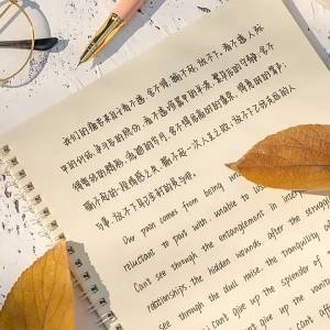 High Quality 【 Spot inventory 】【 高品质】【字帖】怪兽奶酪手写体中英文字帖小清新女生字体大学初中生鲸落体练字帖 Monster Cheese handwritten Chinese and English copybook sm玩具all and fresh female font College junior high school student whale falling practice copybook