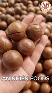 Hạt macca nứt vỏ (sấy chín- có video)