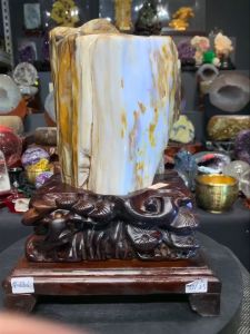 fossil jadeized specimen jade木化玉🪵 💯天然树 like transfomation in white yellow 树化玉玉化硅化木➡️ 8.3kg 天然玉化观赏图纹线条纹路、玉化色泽奶白+黄 整体高height: 32cm 底座宽宽width: 22.5cm x 21.5cm 重weight: 8.3kg 📍Johor Bahru 区可自行取货或邮寄服务