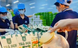 [Dược Sĩ Đại Học Tư Vấn] Trà Lá Sen Tâm Sen Gạo Lứt Linh Chi Giảm Cân Ngủ Ngon Tuần Hoàn Máu Thanh Nhiệt Đẹp Da - Hộp 60 Gói Dùng Được 1 Tháng