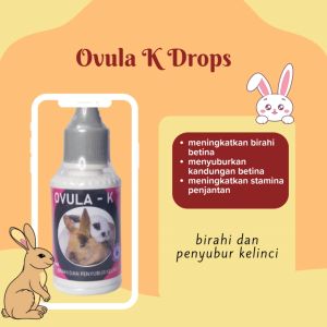Ovula K Drop 30ml - Birahi dan Penyuburan Kelinci