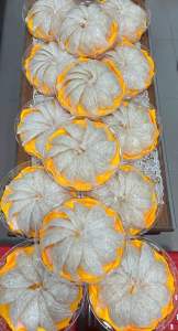 Yến House - Yến Tinh Chế Nguyên tổ Loại 1 - Hộp 100GR