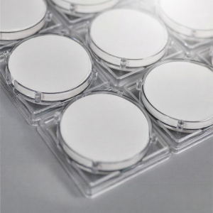 PAMPAS | Hydrophilic Acid-Base Resistant PTFE Membrane Graphene For Lab Analysis and Purification