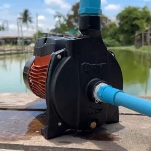 VERGIN ปั๊มน้ำ ปั๊มหอยโข่ง 1 นิ้ว มี 2 รุ่น CPM130 CPM158 | สูบน้ำได้แรง เร็ว