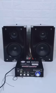 ORI TaffSTUDIO Ampli Amplifier Karaoke masjid Bluetooth Super bass rumahan EQ Mixer 600W AV-298BT