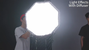 Ulanzi DS60 L067 60cm / DS80 L069 80cm Bowens Mount Octagonal Softbox Studio Light Diffuser Grid