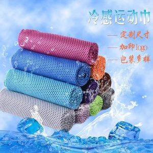 WE 2446 = 冷感运动毛巾 Cooling Sports Towel (Random Color)