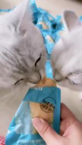 Pet Real Chicken Breast Treat Cat Dog High Protein Steam Eat Boiled Chicken Pet Snacks