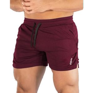 NEW Summer Mesh Sports Shorts Mens Sportswear Breathable Trend Fitness Men Three Point Pants Running Casual Sports Men Shorts