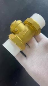 PPR Brass Union Swing valve check valve Spring Vertical Pump Valves stop valve 1/2 3/4 1