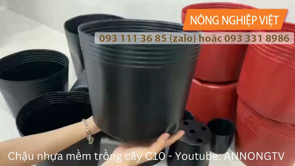 Chậu Nhựa C11 (đen/đỏ) - tính cái - Chậu nhựa trồng hoa Chậu trồng vạn thọ 3 gốc 4 gốc
