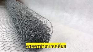 ตาข่ายลวดหกเหลี่ยม ช่องตา 3/8" 1/2" 3/4" ตาข่าย ตะแกรงล้อมรั้ว ล้อมกรงไก่ ล้อมกรงนก ล้อมกรงสัตว์ ลวดตะแกงกรงนก ลวดล้อมเล้าไก่ ลวดDIY อเนกประสงค์