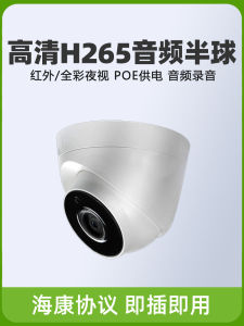 H265 HD 48V Poe Audio Dome Camera Infrared Night Vision HD For Home 3MP Monitor Wide Angle