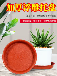 Đế Lót Chậu Hoa Đế Khay Nhựa Hoa Đế Lót Dày Khay Hứng Nước Chậu Hoa Đế Chậu Hoa Đế Chậu Hoa Hình Tròn Mọng Nước