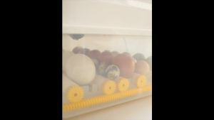 Fully Automatic Egg Incubator with Temperature Control and Auto Turning for Hatching Chicken Duck Goose Quail Birds