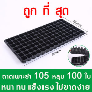 ถาดเพาะกล้า-ชำ 105หลุม, 100แผ่น ถาดเพาะต้นกล้า ถาดเพาะต้นอ่อน ถาดเพาะเมล็ด, ถาดเพาะข้าว, ถาดเพาะปลูกผัก ปลูกต้นไม้