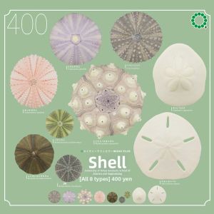 MOYINGXIONG | Stereoscopic Sea Urchin Shell Collection Magnetic Refrigerator Stickers