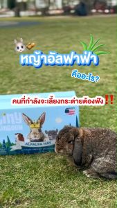 Tiny Kingdom หญ้าอัลฟาฟ่า USA  หญ้ากระต่าย หญ้าแห้ง สำหรับกระต่ายและสัตว์ฟันแทะ