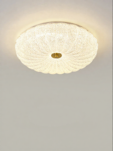 DGY | Luxurious Modern Ceiling Light